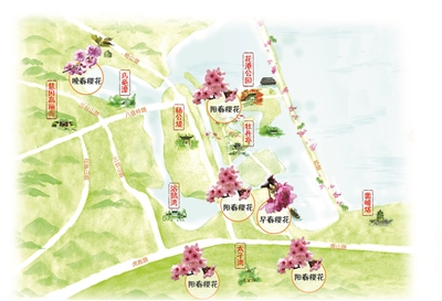 西湖边花港景区详细赏樱地图 西湖边花港景区详细赏樱地图