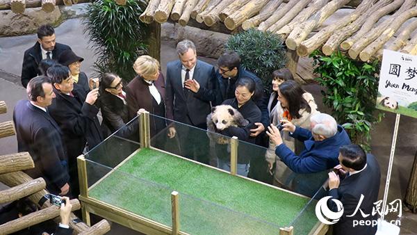 博瓦勒动物园园长罗多尔夫·德洛尔和中国成都大熊猫繁育研究基地派到法国的专家向嘉宾们介绍小“圆梦”的日常生活。王芳摄