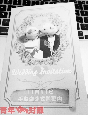 有人收到朋友发来的结婚请柬，主角竟是家里的两条狗