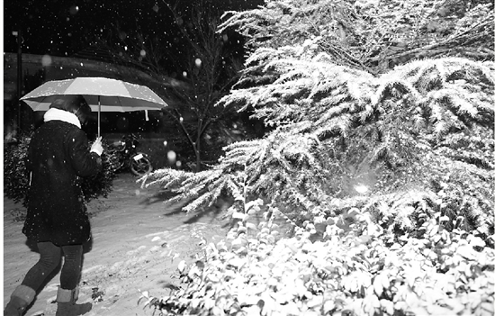 今冬第一场雪如约而至 今起雨过天晴