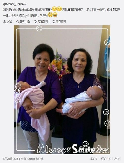 林志杰龙凤胎