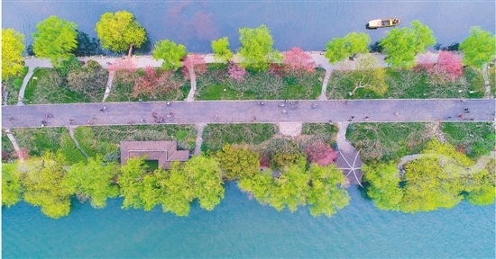昨天，西湖景区恢复平静。从高空俯瞰苏堤上到处生机勃勃，桃红柳绿。