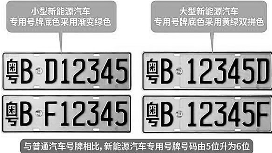     专用号牌号码6位，已领普通号牌的可自愿换领