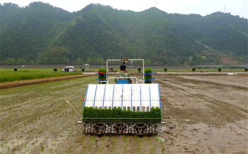 大机子村 0023aea63d7e0f1c704701.jpg