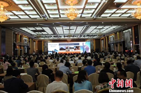 首届中国(桐庐)国际民宿发展论坛现场。　王逸飞 摄