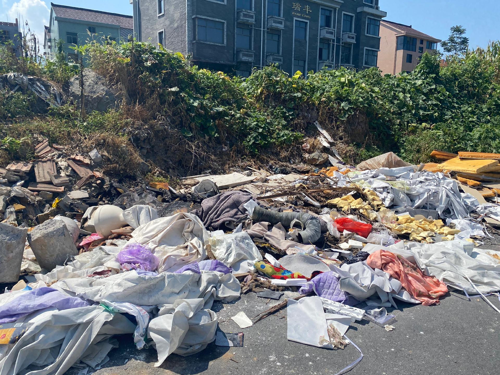 滨江路(东)偷倒垃圾乱象待整治