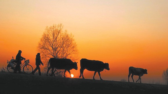 大型纪录片记住乡愁第三季1月2日开播